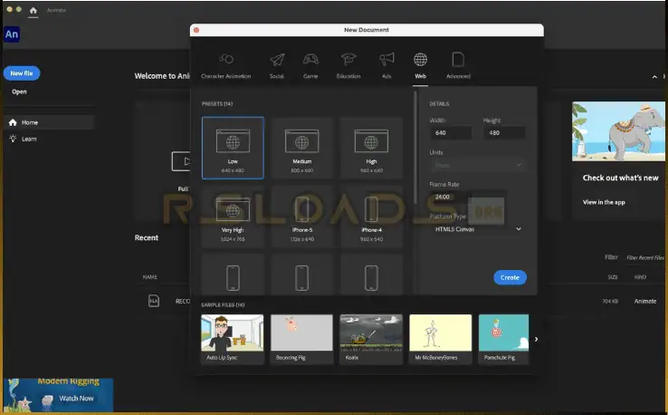 Adobe Animate-3