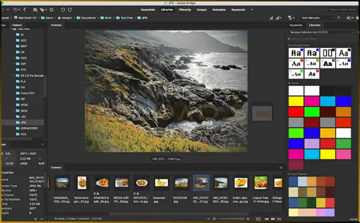 adobe bridge-2