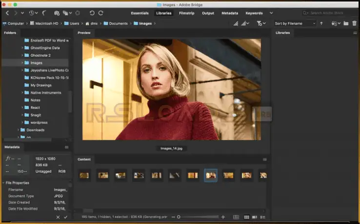 adobe bridge-3