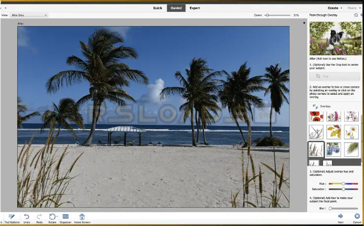 Photoshop Elements-1