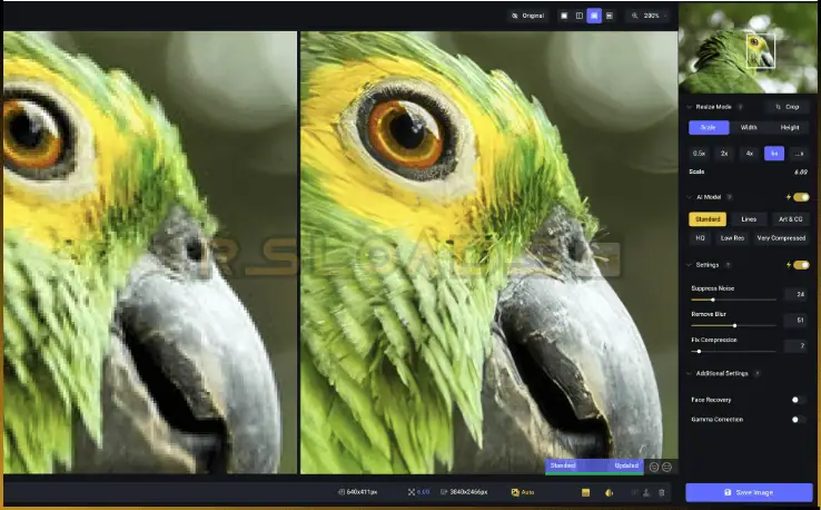 Topaz Gigapixel AI-3